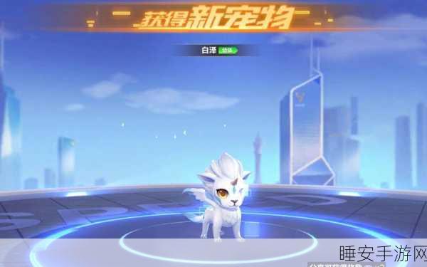 QQ飞车手游珍稀宠物白泽获取全攻略，解锁速度与激情的新伙伴
