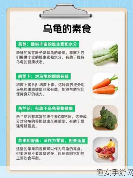 我的世界乌龟饮食揭秘,打造生态乐园的必备知识