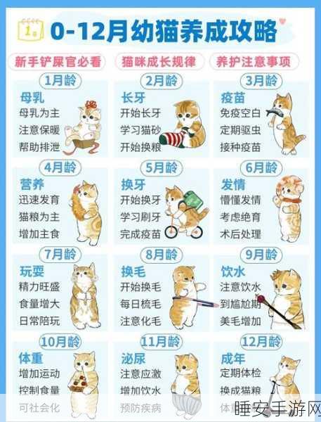 手游攻略,艾丽莎的国度,登顶喵星界霸主——10只猫高效养成全攻略
