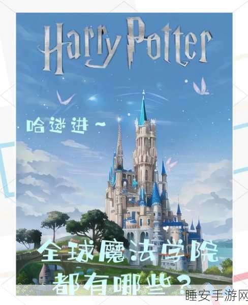 哈利波特魔法觉醒,深度探索宿舍功能,解锁校园生活的魔法秘密