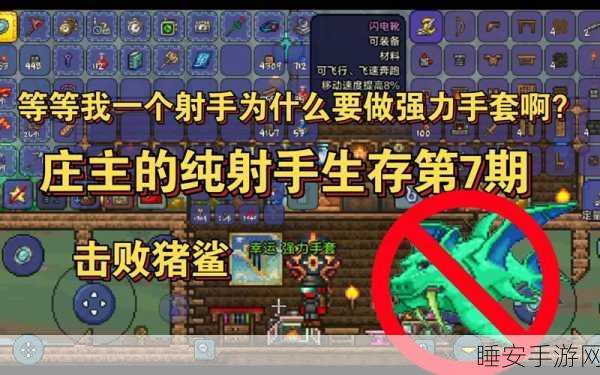 泰拉瑞亚射手福音,揭秘顶级翅膀装备,助你翱翔天际,畅享射击快感