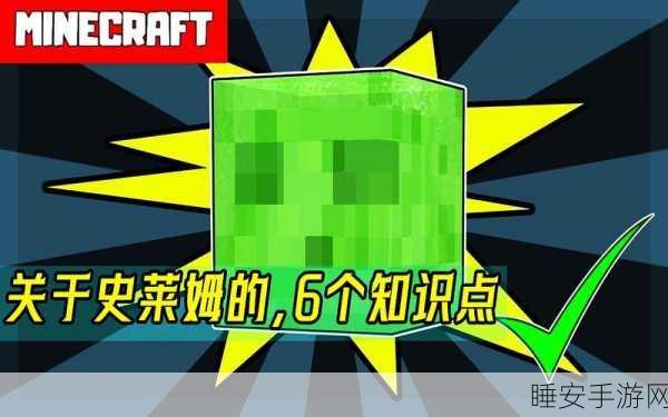 探秘我的世界,高效捕捉史莱姆全攻略