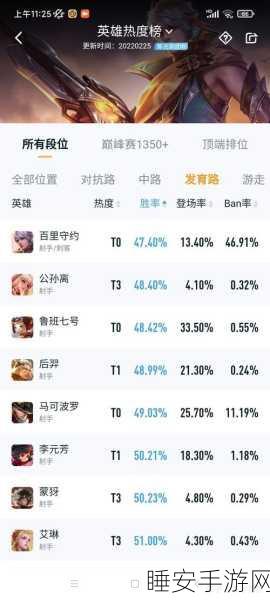 王者荣耀顶尖攻略,百里守约铭文出装深度剖析,助你赛场制霸