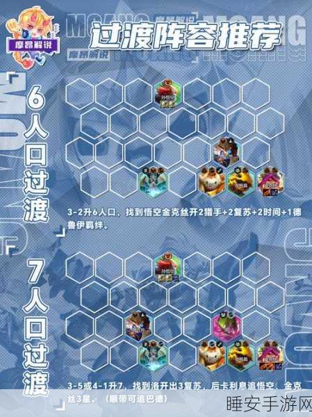 云顶之弈顶尖策略,揭秘森林德鲁伊阵容的制胜之道