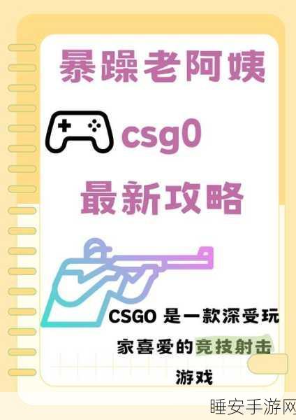 暴躁老阿姨csgo图片高清：高清暴躁老阿姨CSGO游戏精彩瞬间分享与分析