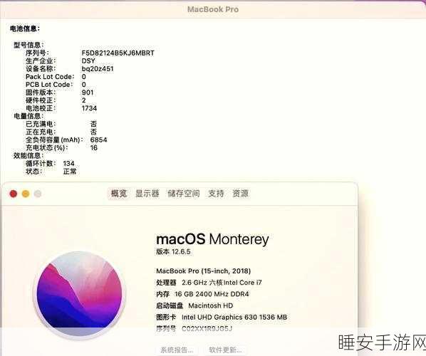 windows1819岁macbookpro:全面解析Windows 18和19在MacBook Pro上的应用与体验