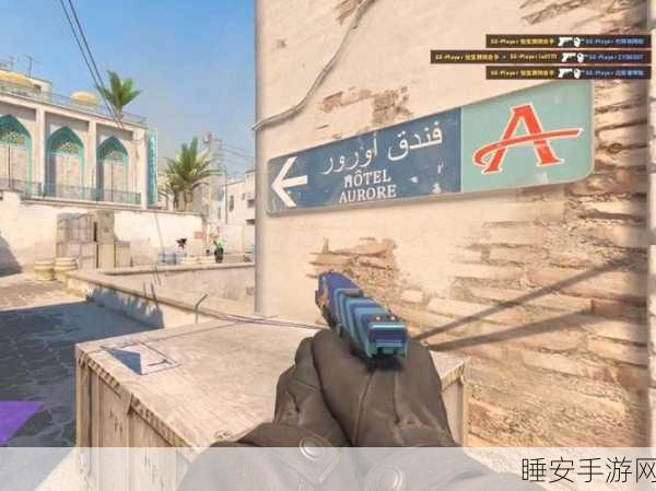 日本顶级csgo大片:极限对决:日本顶级CSGO战队的荣耀与传奇
