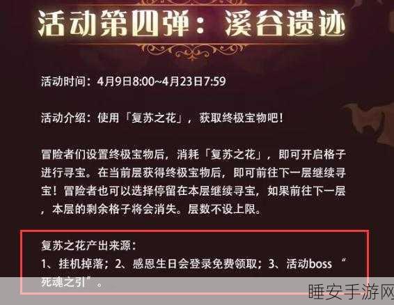 剑与远征溪谷遗迹,终极宝物抉择秘籍