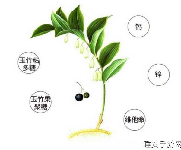 97精产国品一二三产区区别视频:深入解析97精产国品一二三产区的不同特点与优势