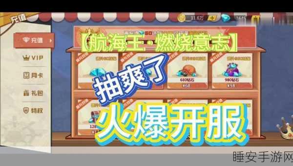 航海王燃烧意志安卓版震撼上线,体验海贼王世界的热血战斗!
