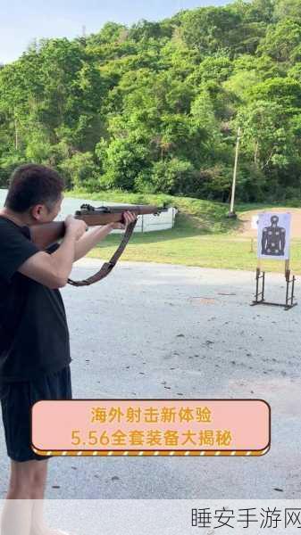 隐藏在线,射击休闲新体验,趣味竞技大揭秘