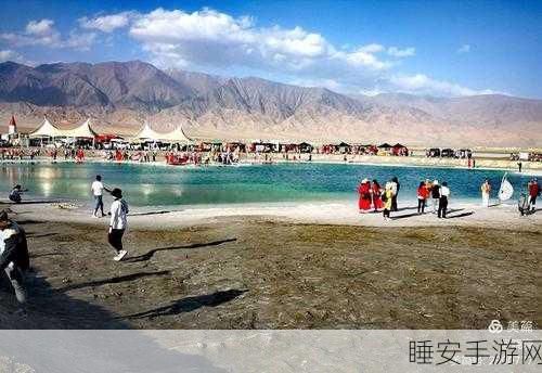 黑龙天使激战BT版,魔幻热血挑战之旅全面解析