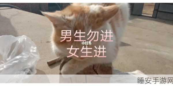 男生女生一起努力生猴子软件:共同努力,携手创造未来——男生女生一起奋斗的乐趣与挑战