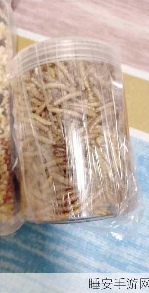 黑瓜料网:黑瓜料网:探索独特美味与健康生活的完美结合