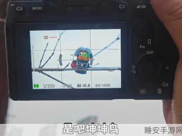 把男坤坤放在女生坤坤:男坤坤与女生坤坤的奇妙碰撞:性别角色的新探索