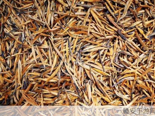 亚洲一线产区二线产区地图:全面解析亚洲一线与二线产区的地理分布及发展潜力