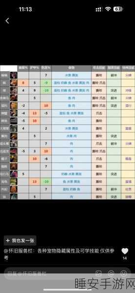 怀旧服猎人几种箭袋：怀旧服猎人专属箭袋推荐与使用技巧解析