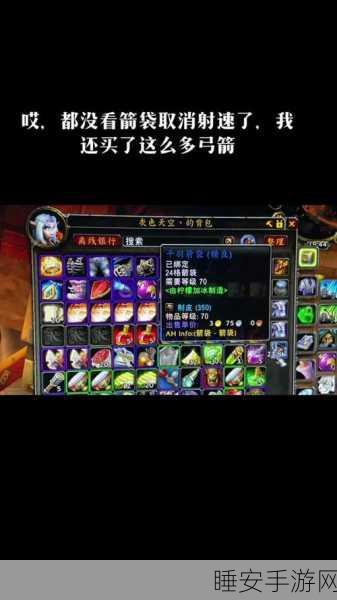 怀旧服猎人几种箭袋：怀旧服猎人专属箭袋推荐与使用技巧解析