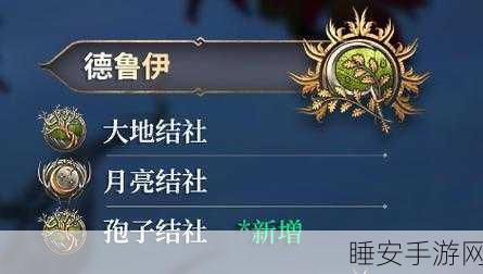 博德之门 3 德鲁伊加点秘籍,全方位解析与最佳策略