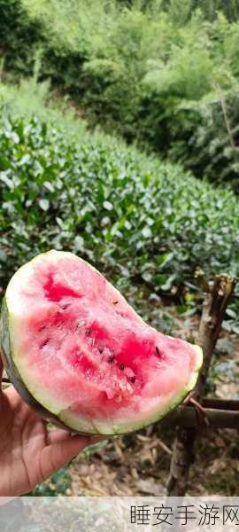 51今日大瓜 热门大瓜下载:“今日热搜大瓜揭秘:最新爆料与热门事件一网打尽!”