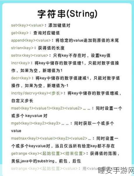 jav 天美:探索Java编程的奥秘与实践,开启开发新篇章