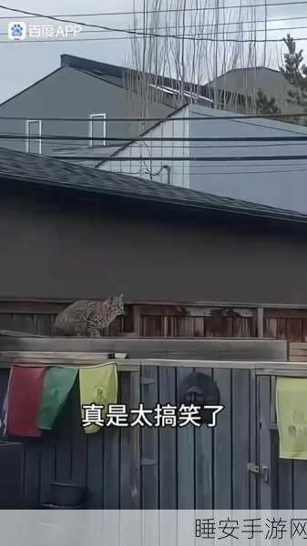 松鼠遇到枪下载:松鼠历险记:枪声背后的森林秘密与勇气