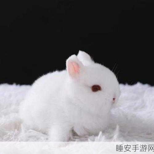 同桌两个大兔子在衬衫里抖来抖去:同桌的两只大兔子在衬衫里欢快跳跃的奇趣时刻
