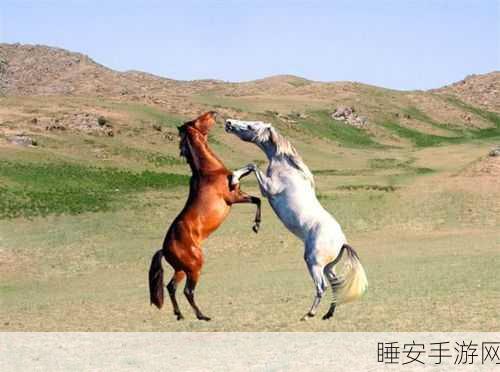 休闲养马新体验,养马传奇经营版震撼上线!