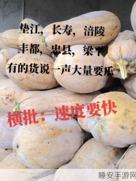 51热门大瓜今日大瓜导航：今日大瓜导航：揭秘51热门话题背后的故事与真相！