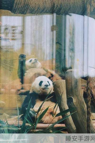 萌趣三消新体验,2023版熊猫爱旅行手游下载指南