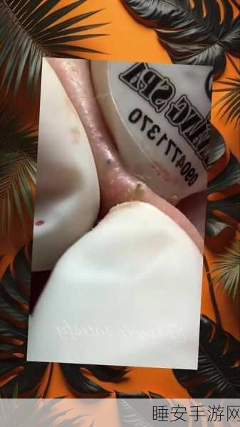 休闲解压新选择,强迫症解压乐园手机免费版来袭!