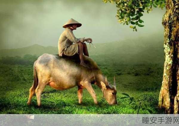 老牛犀影视文化有限公司：老牛犀影视文化有限公司：打造全新视听盛宴的先锋力量