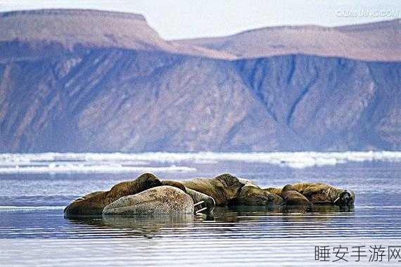 Atlantic ocean最新:探索大西洋的最新发现与生态变化趋势分析
