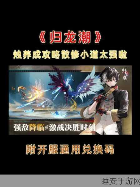 归龙潮神秘气味任务的通关秘籍
