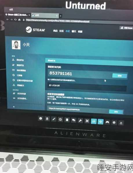 Steam 好友添加秘籍，轻松找到你的游戏伙伴