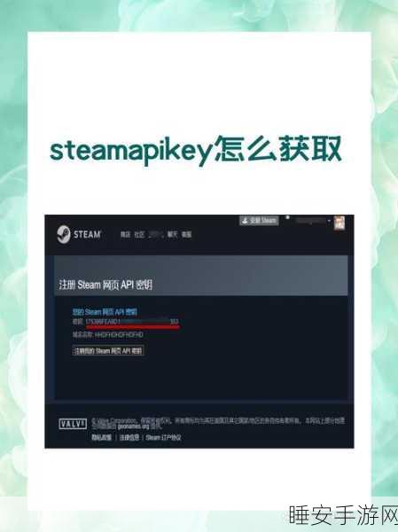 Steam 隐私秘籍,让好友无法知晓你的游戏时刻