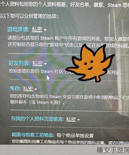 Steam 隐私秘籍,让好友无法知晓你的游戏时刻