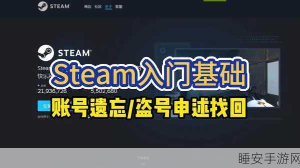 Steam 账号丢失?别急!超详细找回秘籍在此