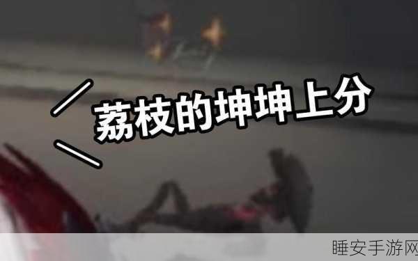 坤坤小心躲避荔枝,休闲小游戏合集新版上线,挑战你的反应极限!