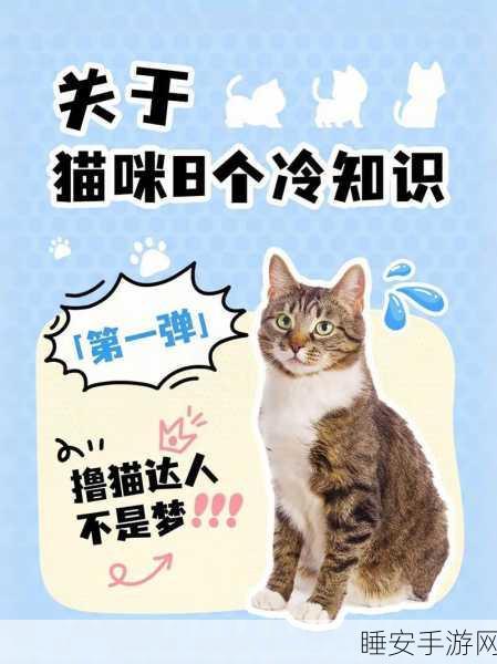 猫咪模拟,萌宠养成新纪元,内购版独家揭秘!