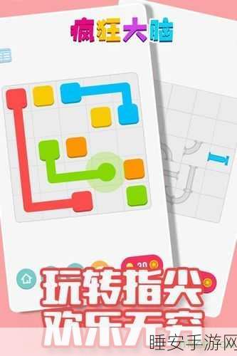 疯狂大脑手游下载_解谜益智类游戏