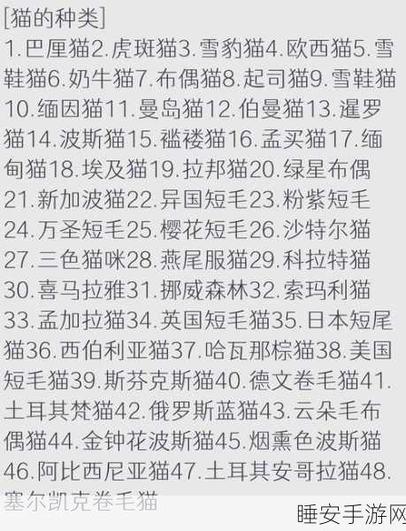 探秘猫咪和汤的神奇魔法食谱秘籍