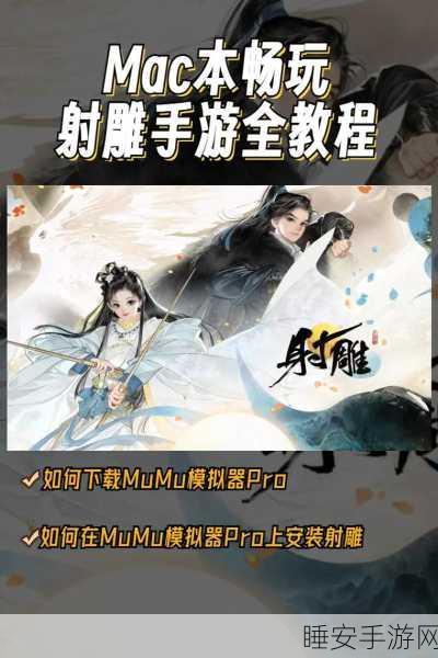 射雕手游,解锁白术收集的终极秘籍