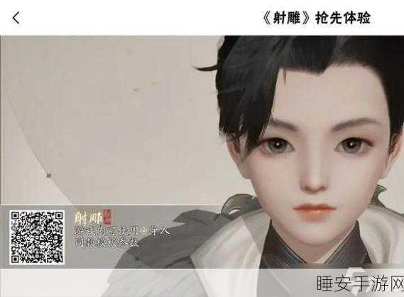 射雕手游男生帅气侠客风捏脸秘籍 数据二维码大放送