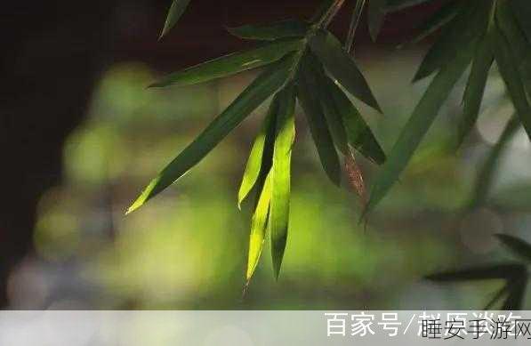 射雕手游必知,碧涧羹获取秘籍大公开
