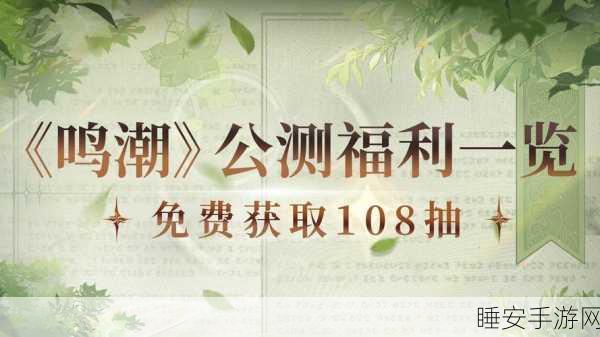 鸣潮,厨师等级解锁的神秘食谱大揭秘