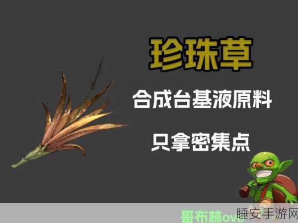 鸣潮必知,珍珠草采集的绝佳路线全揭秘