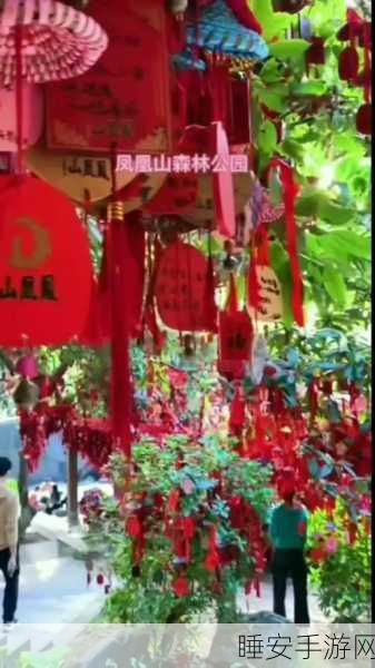 LOL 手游，丽桑卓喷泉许愿池玩法全揭秘，惊喜不断！