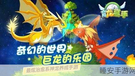 育龙高手九游版下载-卡通风格宠物养成对战游戏