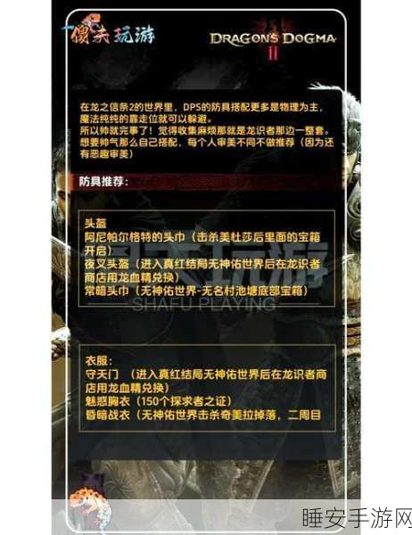 龙之信条黑暗觉者,物理系职业的关键道具大揭秘
